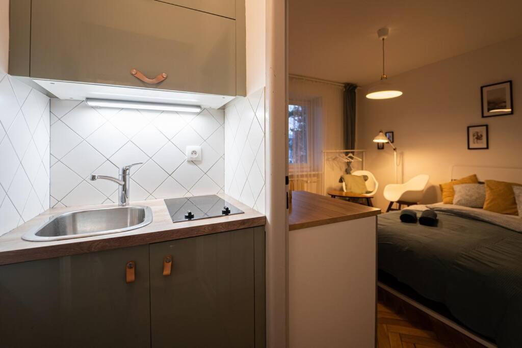 Mini Studio In Masaryk Quarter - Brno Apartment Exterior photo
